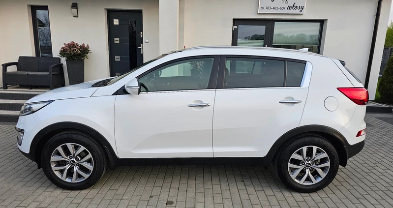 Kia Sportage cena 53999 przebieg: 139540, rok produkcji 2015 z Poddębice małe 254